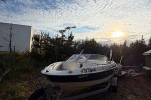 2015 Bayliner 185