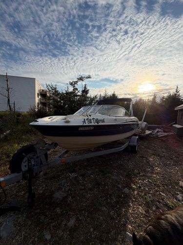 2015 Bayliner 185