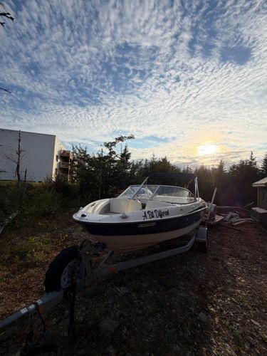 2015 Bayliner 185